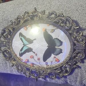 Elegant Butterfly Wall Decor with Ornate Frame